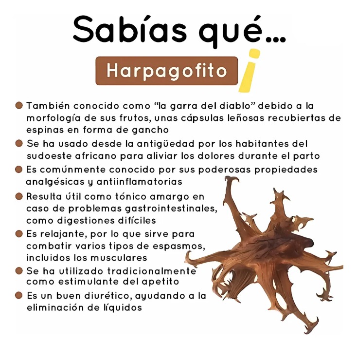 Miniatura 2 de LUMBARTRIN 30 CAPSULAS